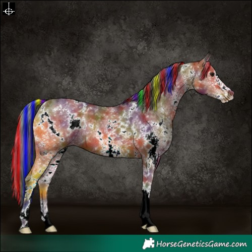 Horse Color:Painted Nacre White Spotted Bay 