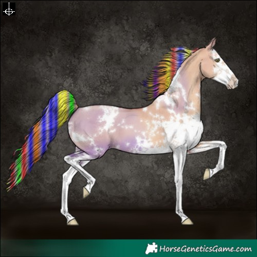 Horse Color:Painted White Spotted Gold Champagne Dun Splash 
