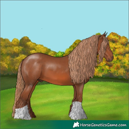 Horse Color:Chestnut 