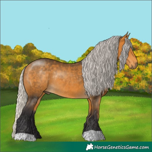 Horse Color:Silver Buckskin Rabicano