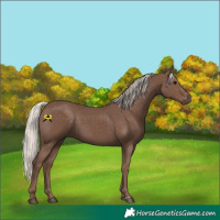 Horse Color:Silver Black 