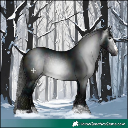 Horse Color:Gray Midnight Black 