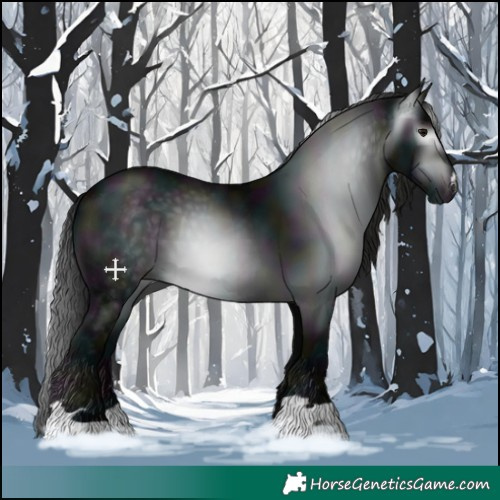 Horse Color:Gray Midnight Black 