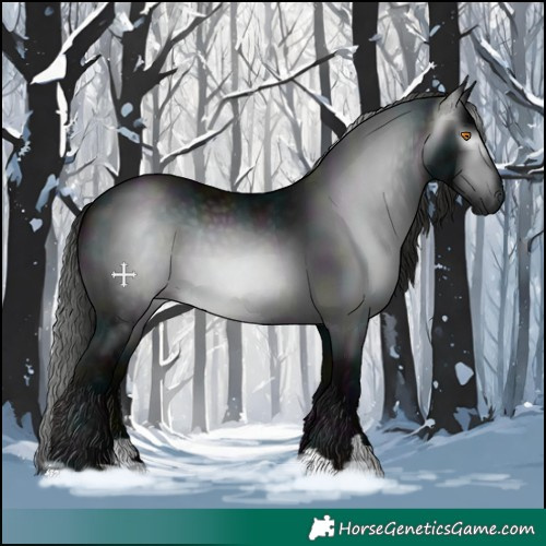 Horse Color:Gray Midnight Black 