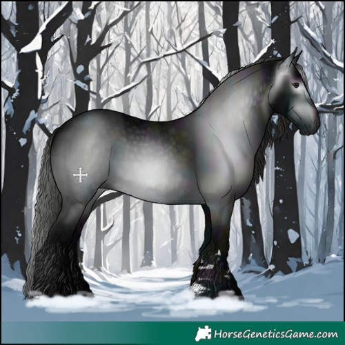 Horse Color:Gray Midnight Black 