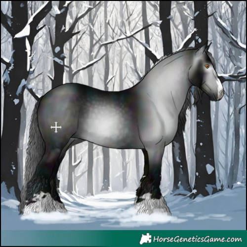 Horse Color:Gray Midnight Black 