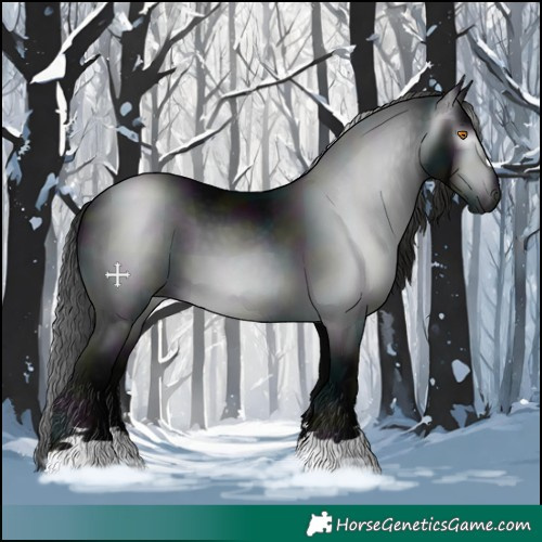 Horse Color:Gray Midnight Black 