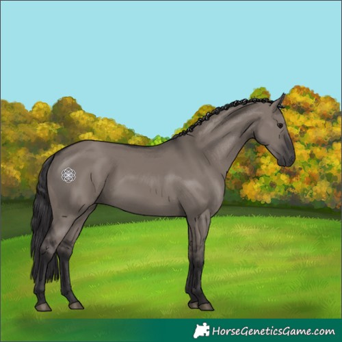 Horse Color:Smoky Grullo