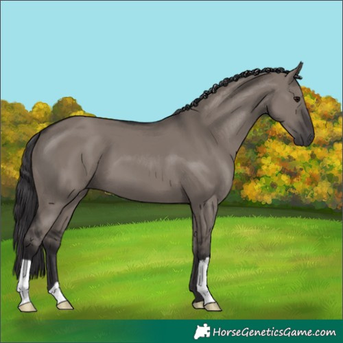 Horse Color:Smoky Grullo 