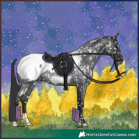 Horse Color:Blue Roan Near Fewspot 