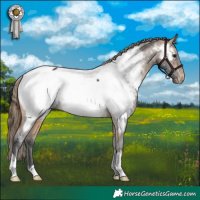 Horse Color:Buckskin Near Fewspot