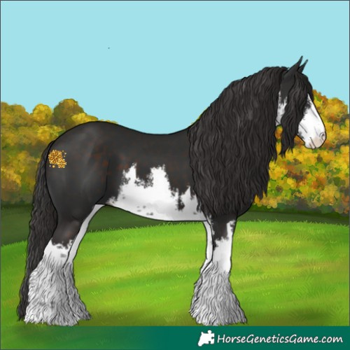 Horse Color:White Spotted Liver Chestnut 