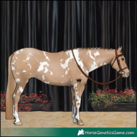 Horse Color:White Spotted Black Pearl 