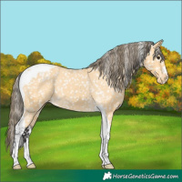 Horse Color:Buckskin Tobiano Snowflake Varnish