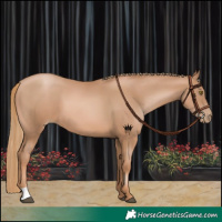 Horse Color:Chestnut Pearl 