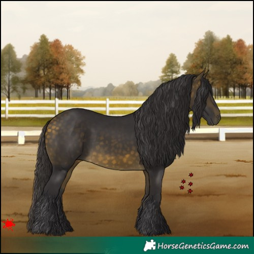 Horse Color:White Spotted Buckskin 
