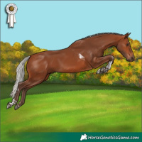Horse Color:Silver Brown Tobiano 