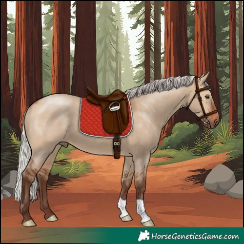 Horse Color:Silver Bay Dun 