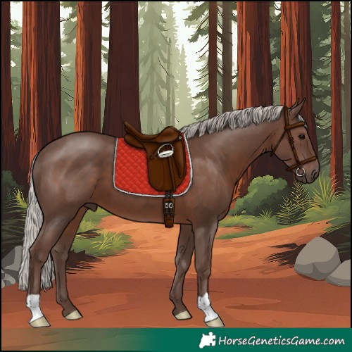 Horse Color:Silver Black 