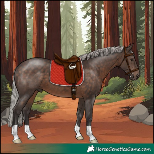 Horse Color:Silver Brown 