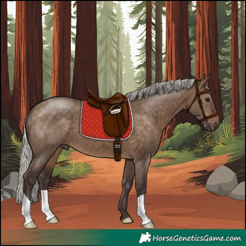 Horse Color:Silver Brown Dun 