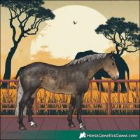 Horse Color:Silver Smoky Black Sabino Rabicano 