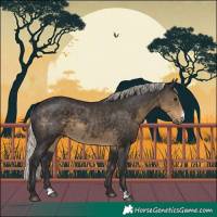Horse Color:Silver Smoky Black Sabino Rabicano