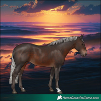 Horse Color:Silver Brown