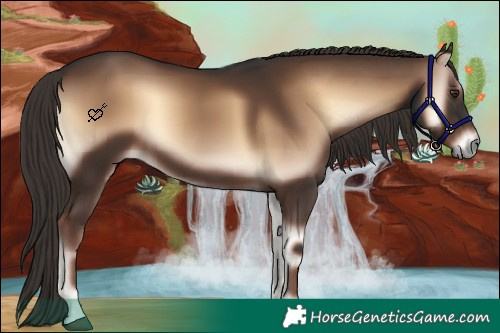 Horse Color:Liver Red Onyx 
