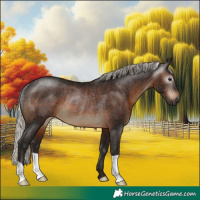 Horse Color:Gray Silver Brown Rabicano