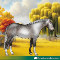 Horse Color:Gray Silver Brown Rabicano 