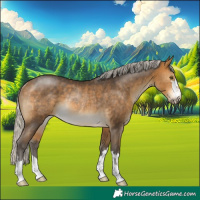 Horse Color:Silver Buckskin Rabicano 