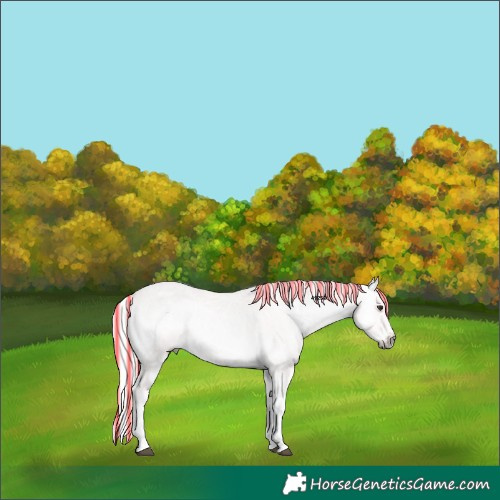 Horse Color:Void Platinum Painted Palomino Ice Onyx 