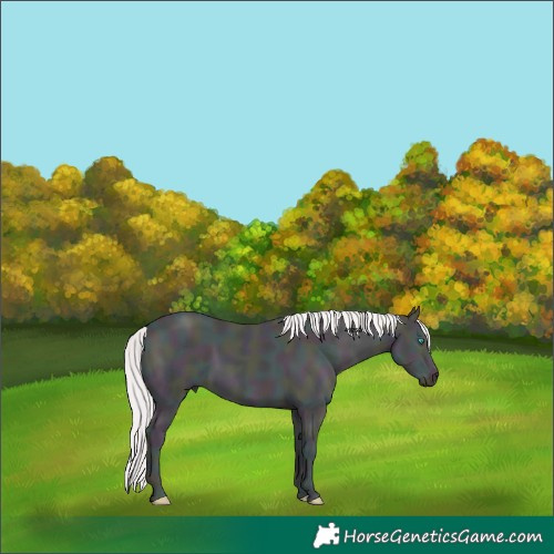 Horse Color:Void Platinum Midnight Perlino Ice 