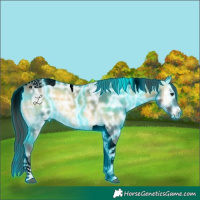 Horse Color:Void Thunderstruck Buckskin Ice Onyx Tobiano 