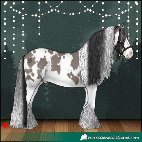 Horse Color:White Spotted Grullo Splash 
