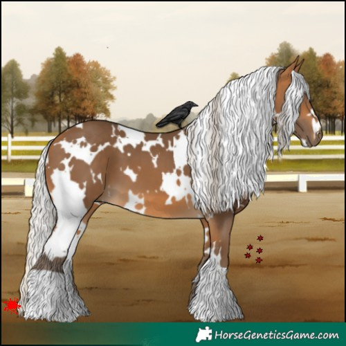 Horse Color:White Spotted Silver Buckskin 