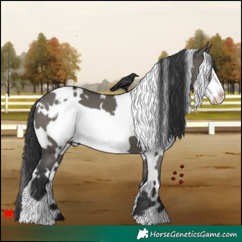 Horse Color:White Spotted Grullo Frame
