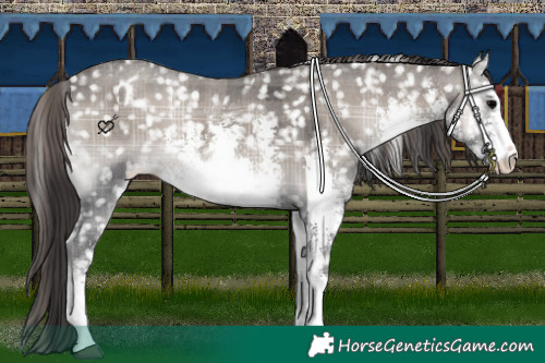 Horse Color:Platinum Plaid White Spotted Smoky Blue Onyx Sabino Appaloosa Rabicano