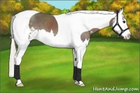Horse Color:Silver Black Sabino Splash Tobiano