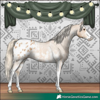 Horse Color:Palomino Sabino Appaloosa