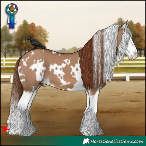 Horse Color:White Spotted Red Dun Splash 