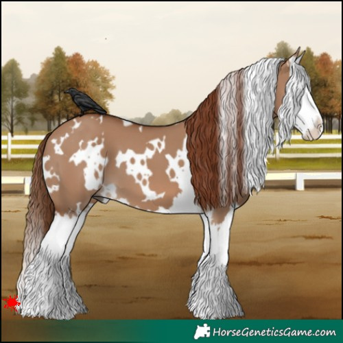 Horse Color:White Spotted Red Dun Splash 