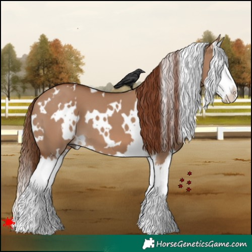 Horse Color:White Spotted Red Dun Splash 