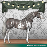 Horse Color:Silver Brown Sabino 