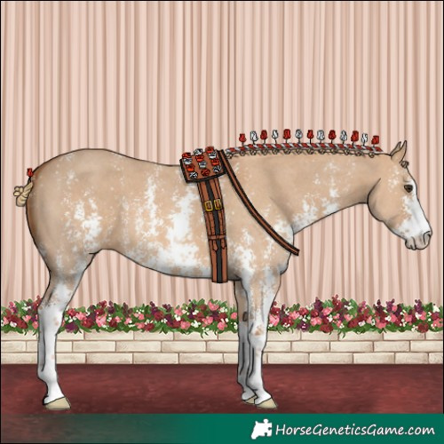 Horse Color:Red Dun Sabino 