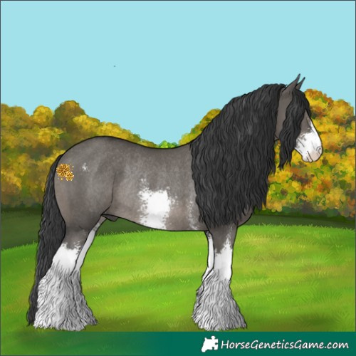 Horse Color:Grullo Sabino Rabicano 