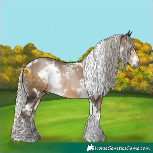 Horse Color:Gray White Spotted Silver Buckskin Pearl 