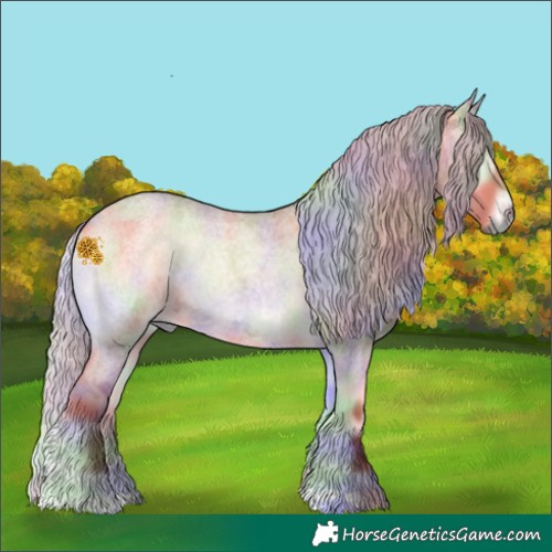 Horse Color:Nacre Silver Bay Roan Onyx 