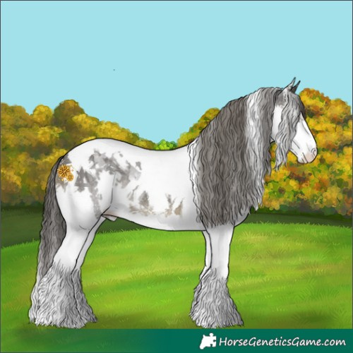 Horse Color:Smoky Black Sabino Splash Tobiano Rabicano 